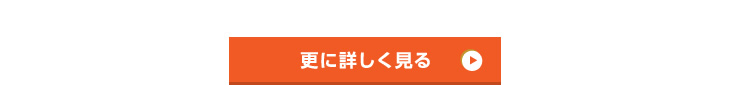 更に詳しく見る